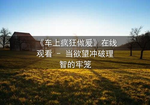 《车上疯狂做爰》在线观看 - 当欲望冲破理智的牢笼