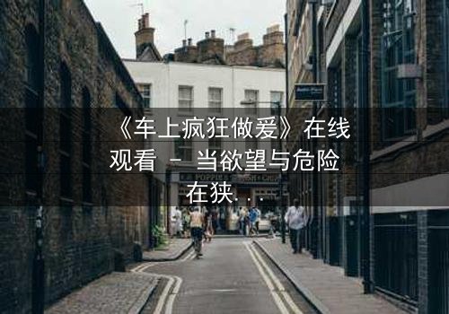 《车上疯狂做爰》在线观看 - 当欲望与危险在狭小空间碰撞