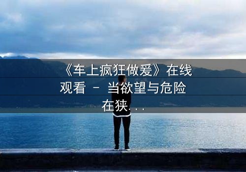 《车上疯狂做爰》在线观看 - 当欲望与危险在狭小空间碰撞,谁能全身而退?