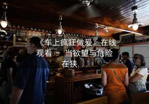 《车上疯狂做爰》在线观看 - 当欲望与危险在狭小空间碰撞