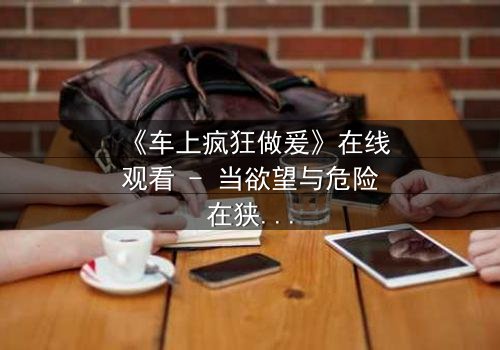 《车上疯狂做爰》在线观看 - 当欲望与危险在狭小空间碰撞,谁能全身而退?