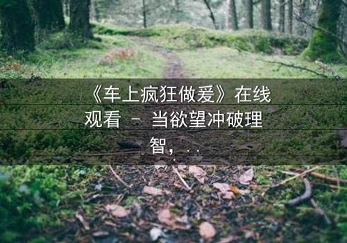 《车上疯狂做爰》在线观看 - 当欲望冲破理智,车内禁忌引爆人生风暴