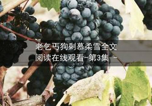 老乞丐狗剩慕柔雪全文阅读在线观看-第3集 - 揭开尘封真相的惊心之旅