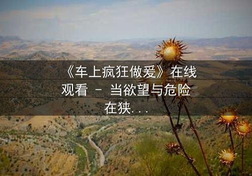 《车上疯狂做爰》在线观看 - 当欲望与危险在狭小空间碰撞,谁能全身而退?