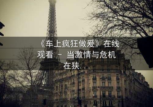 《车上疯狂做爰》在线观看 - 当激情与危机在狭小空间碰撞,谁能全身而退?