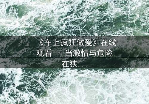 《车上疯狂做爰》在线观看 - 当激情与危险在狭小空间碰撞,谁能全身而退?