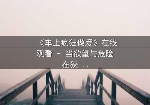 《车上疯狂做爰》在线观看 - 当欲望与危险在狭小空间碰撞,谁能全身而退?