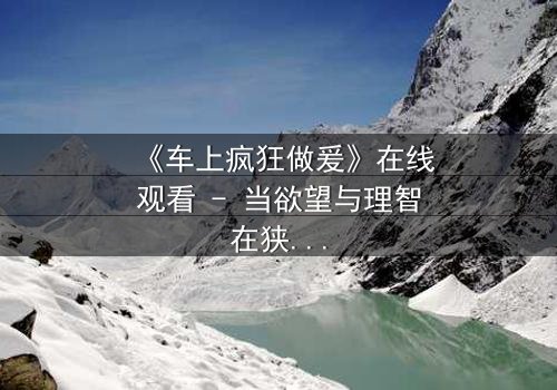 《车上疯狂做爰》在线观看 - 当欲望与理智在狭小空间激烈碰撞