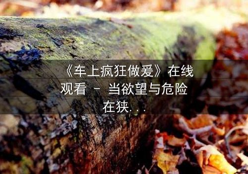 《车上疯狂做爰》在线观看 - 当欲望与危险在狭小空间碰撞