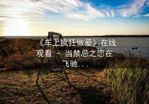 《车上疯狂做爰》在线观看 - 当禁忌之恋在飞驰的车厢中失控爆发