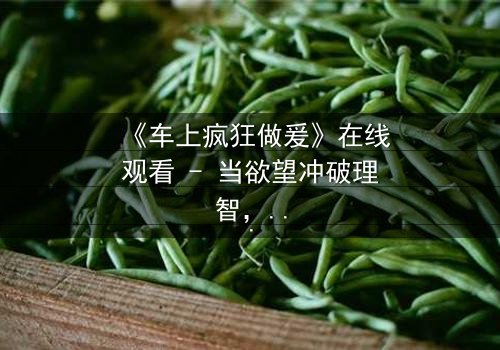 《车上疯狂做爰》在线观看 - 当欲望冲破理智,车内激情引爆致命危机