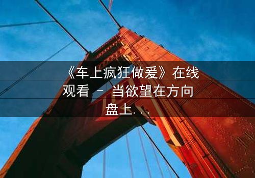 《车上疯狂做爰》在线观看 - 当欲望在方向盘上失控,谁能逃离这场致命追逐?