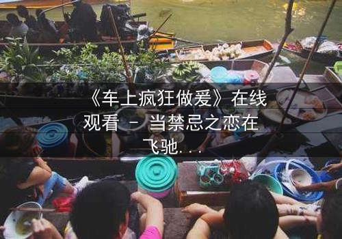 《车上疯狂做爰》在线观看 - 当禁忌之恋在飞驰的车厢中失控爆发