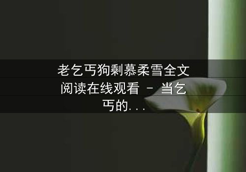 老乞丐狗剩慕柔雪全文阅读在线观看 - 当乞丐的逆袭遇上豪门千金的救赎,真相令人窒息!