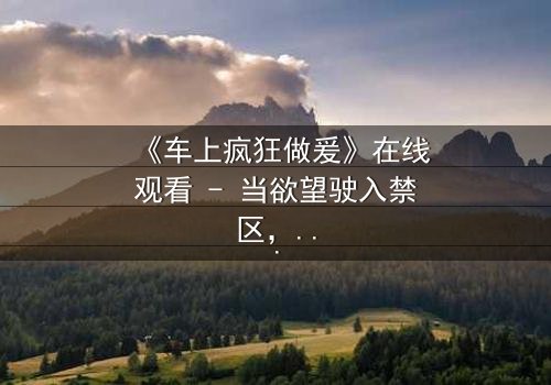 《车上疯狂做爰》在线观看 - 当欲望驶入禁区,谁将掌控方向盘?