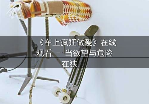 《车上疯狂做爰》在线观看 - 当欲望与危险在狭小空间碰撞