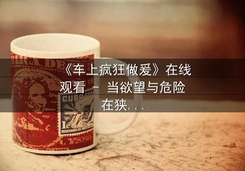 《车上疯狂做爰》在线观看 - 当欲望与危险在狭小空间碰撞,谁能全身而退?