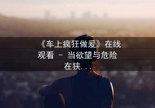 《车上疯狂做爰》在线观看 - 当欲望与危险在狭小空间碰撞,谁能全身而退?