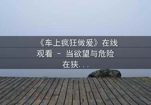 《车上疯狂做爰》在线观看 - 当欲望与危险在狭小空间碰撞,谁能全身而退?