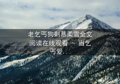 老乞丐狗剩慕柔雪全文阅读在线观看 - 当乞丐爱上千金,命运如何逆转?