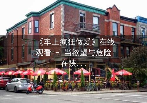 《车上疯狂做爰》在线观看 - 当欲望与危险在狭小空间碰撞,谁能全身而退?