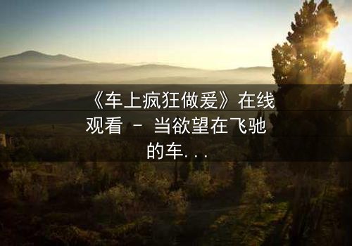 《车上疯狂做爰》在线观看 - 当欲望在飞驰的车厢中失控,谁将付出代价?