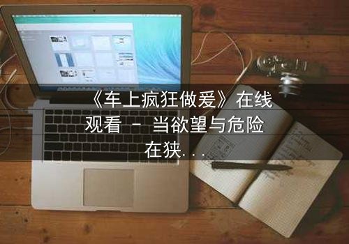 《车上疯狂做爰》在线观看 - 当欲望与危险在狭小空间碰撞,谁能全身而退?