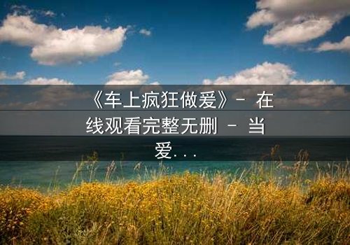《车上疯狂做爰》- 在线观看完整无删 - 当爱在飞驰中失控