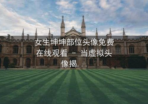 女生坤坤部位头像免费在线观看 - 当虚拟头像揭开真实身份,谁在暗中操控她的命运?