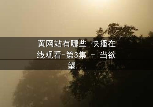 黄网站有哪些 快播在线观看-第3集 - 当欲望与正义交锋,谁将胜出?