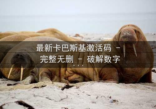 最新卡巴斯基激活码 - 完整无删 - 破解数字迷局,谁在暗中操控?