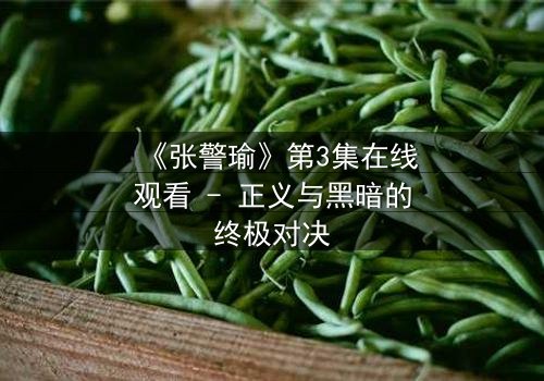 《张警瑜》第3集在线观看 - 正义与黑暗的终极对决