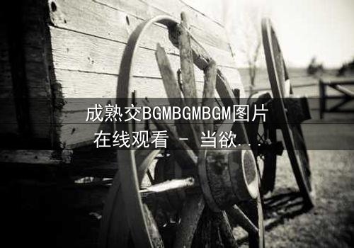 成熟交BGMBGMBGM图片在线观看 - 当欲望与理智在黑暗中碰撞,谁将主宰命运?