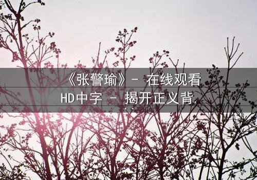 《张警瑜》- 在线观看HD中字 - 揭开正义背后的惊天秘密