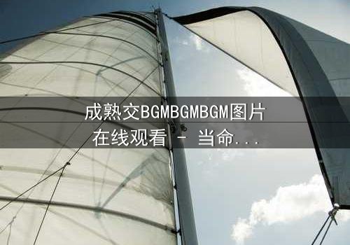 成熟交BGMBGMBGM图片在线观看 - 当命运的交响曲响起,谁能逃脱情感的漩涡?