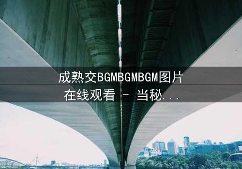 成熟交BGMBGMBGM图片在线观看 - 当秘密交易遇上致命诱惑,谁能全身而退?