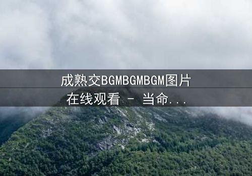成熟交BGMBGMBGM图片在线观看 - 当命运的交响曲响起,谁将揭开隐藏的真相?