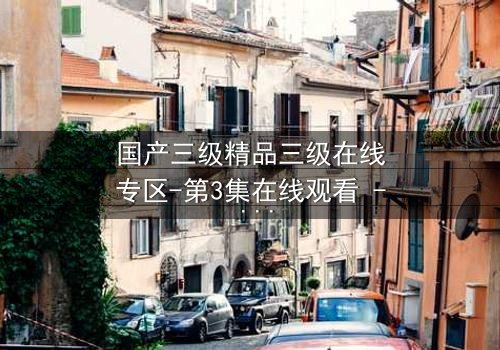 国产三级精品三级在线专区-第3集在线观看 - 一场禁忌之恋的终极考验