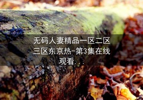 无码人妻精品一区二区三区东京热-第3集在线观看 - 禁忌之恋的深渊诱惑