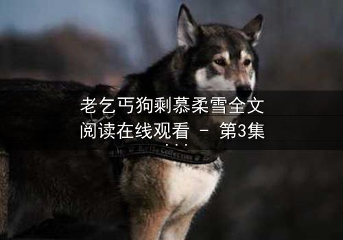 老乞丐狗剩慕柔雪全文阅读在线观看 - 第3集 - 一场跨越阶层的禁忌之恋,谁能全身而退?