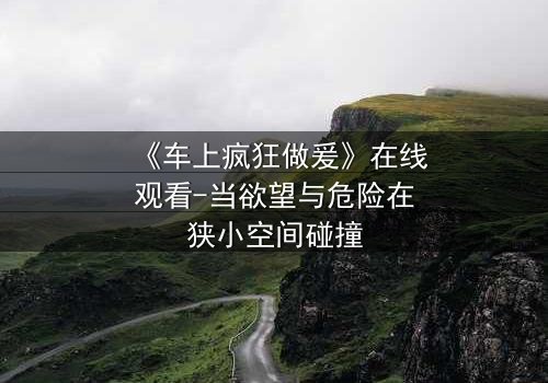 《车上疯狂做爰》在线观看-当欲望与危险在狭小空间碰撞