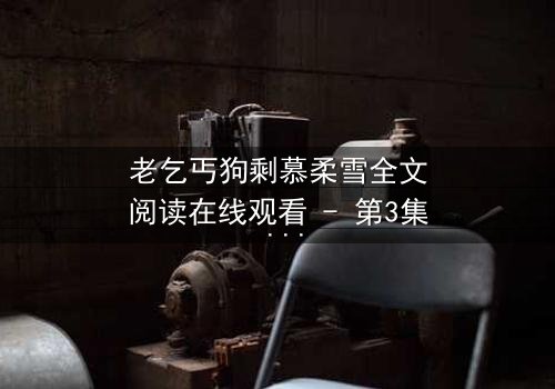 老乞丐狗剩慕柔雪全文阅读在线观看 - 第3集 - 揭开尘封的真相,谁将改写命运?