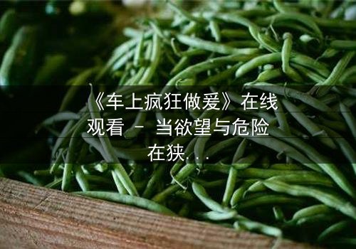 《车上疯狂做爰》在线观看 - 当欲望与危险在狭小空间碰撞,谁能全身而退?