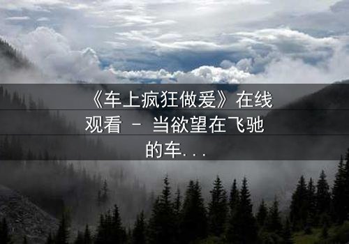 《车上疯狂做爰》在线观看 - 当欲望在飞驰的车厢里失控