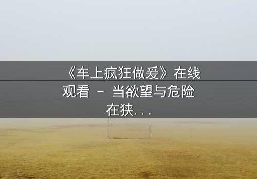 《车上疯狂做爰》在线观看 - 当欲望与危险在狭小空间碰撞,谁能全身而退?