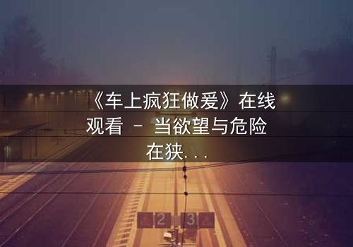 《车上疯狂做爰》在线观看 - 当欲望与危险在狭小空间碰撞,谁能全身而退?