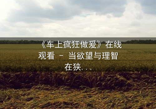 《车上疯狂做爰》在线观看 - 当欲望与理智在狭小空间激烈碰撞